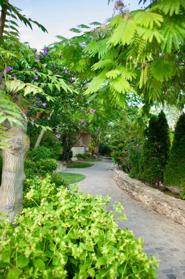 Vamabel House Bed & Breakfast Vama Veche Exterior photo