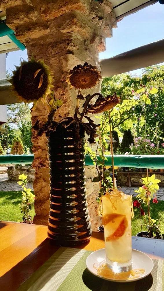 Vamabel House Bed & Breakfast Vama Veche Exterior photo
