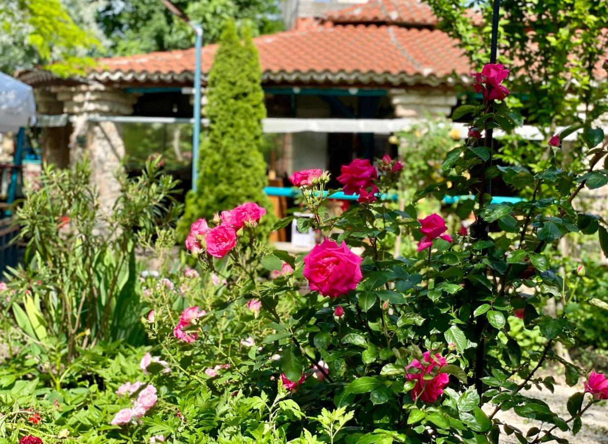 Vamabel House Bed & Breakfast Vama Veche Exterior photo