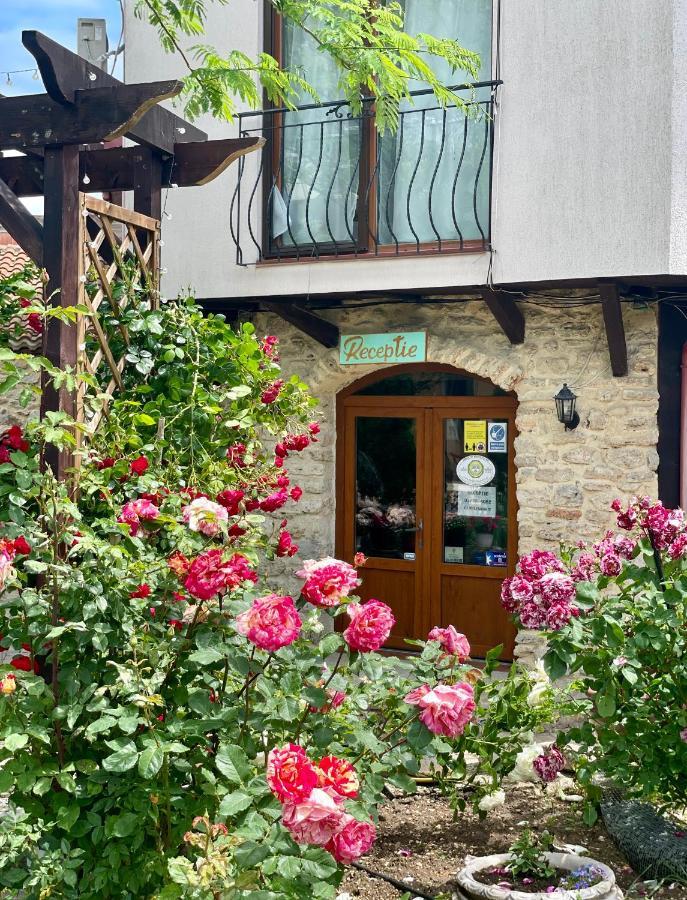 Vamabel House Bed & Breakfast Vama Veche Exterior photo