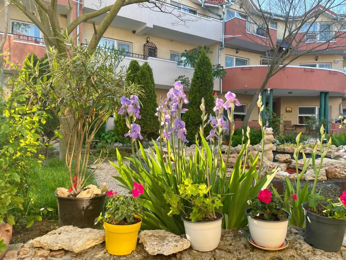 Vamabel House Bed & Breakfast Vama Veche Exterior photo